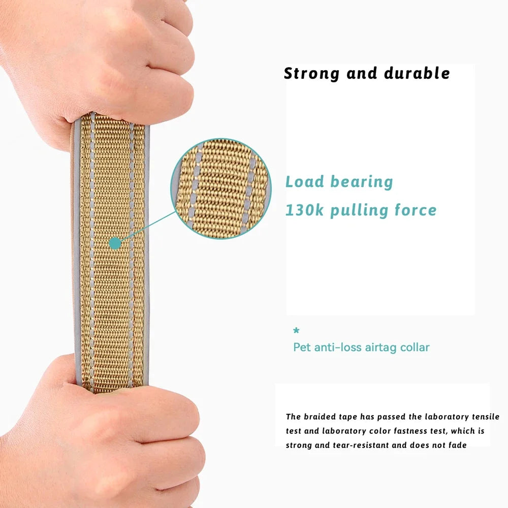 PawTag AirTag Collar